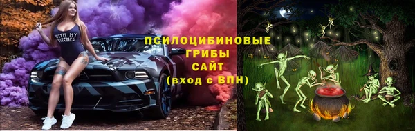 мет Бородино