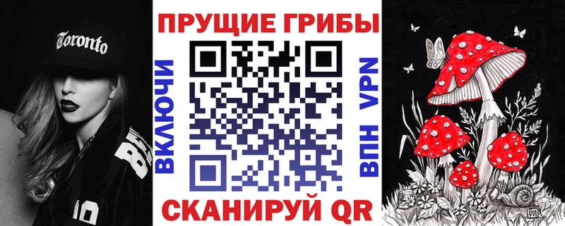 Галлюциногенные грибы MAGIC MUSHROOMS  Купить где  Данилов 